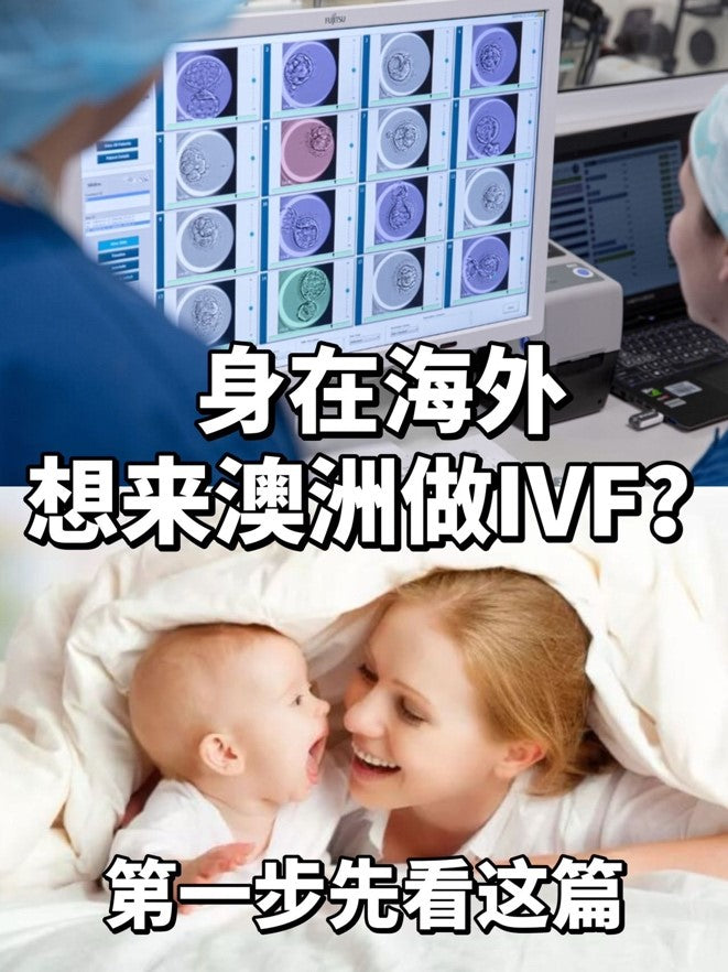 Healthcare Support Service