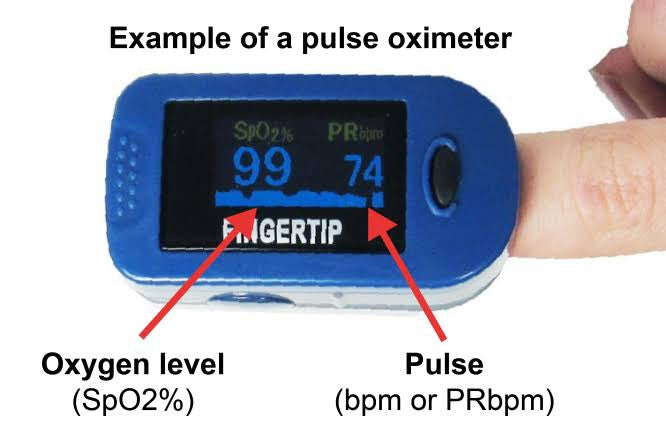 Fingertip Pulse Oximeter